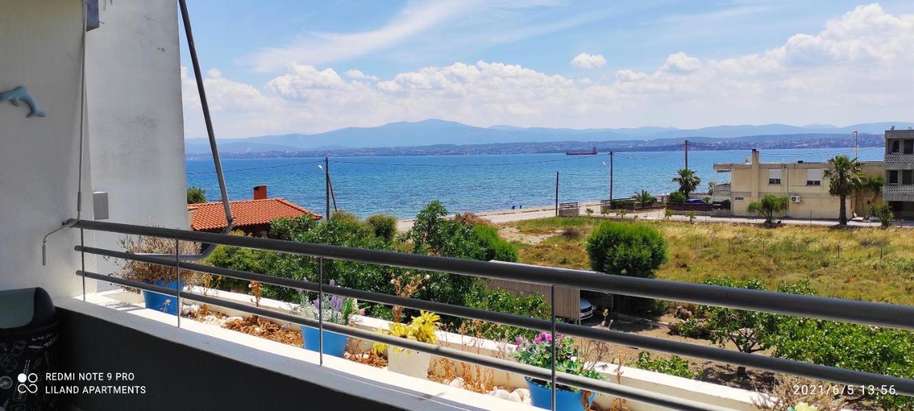 Liland Beachfront Lefkandi Chalkida Exterior foto