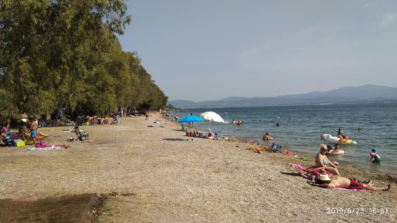 Liland Beachfront Lefkandi Chalkida Exterior foto