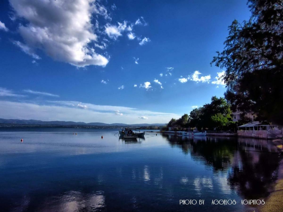 Liland Beachfront Lefkandi Chalkida Exterior foto